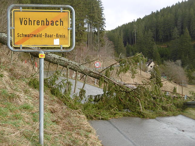 Am Ortsausgang Vöhrenbachs in Richtung Bruderkirchle ist die Straße durch einen umgestürzten Baum unpassierbar.