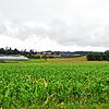 Unterhalb des Maisfelds im Vordergrund befindet sich das Niedermoorgebiet &bdquo;Alter Weiher &ndash; Riedgraben&ldquo;, das ökologisch ...