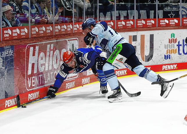 Die Wild Wings um Sebastian Uvira (blaues Trikot) haben die Zweikämpfe, wie hier beim Ligaspiel gegen die Straubing Tigers, gut angenommen.