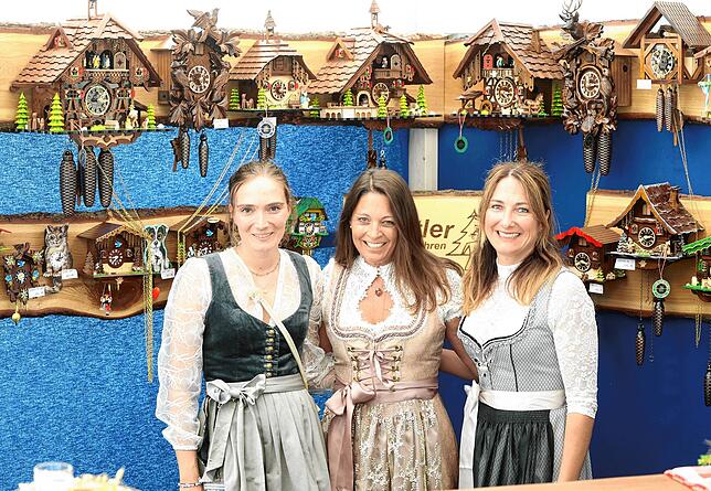 Bild 3: Pferde, Familien Attraktionen: Das Fest Donaueschinger der Pferde auf den Immenhöfen 2025 in Bildern