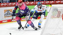 Zum ersten Mal haben die Schwenninger Wild Wings (links Alexander Karachun) in dieser Saison zu Hause verloren. Gegen Ingolstadt hieß es ...