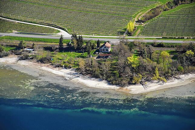 Hier ein selten begangener Uferabschnitt zwischen Ludwigshafen und Sipplingen, er verläuft unterhalb der Bodensee-Gürtelbahn.