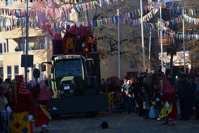Bild 11: Bilder vom Narrentreffen der Urviecher-Zunft Bad Dürrheim: Großer Festumzug (4)
