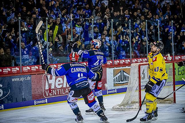 Bild 6: Bilder: Wild Wings vs. Krefeld Pinguine