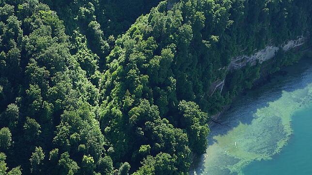 Die Marienschlucht lässt sich hier an der geschwungenen Kurve in den Bäumen und dem Steg an ihrem Fuß erkennen.
