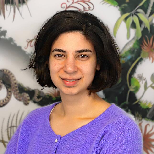 Elham Nourani (34) kommt aus dem Iran. Die promovierte Umweltwissenschaftlerin lebt seit sechs Jahren in Deutschland.