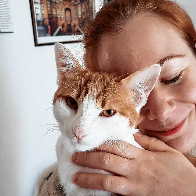 Bild 2: Miau! Zum Weltkatzentag eine Liebeserklärung an die Katz