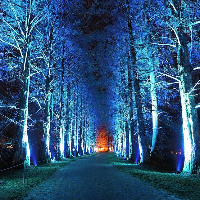 Etwa zwei Dutzend Figuren und Lichtinstallationen erhellen die Insel Mainau beim Christmas Garden, der bis zum 9. Januar stattfindet.