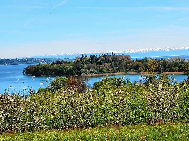 Bild 9: Sommerwetter in Konstanz schon wieder vorbei: Hier gibt es die schönsten Bilder und Videos vom Wochenende zum Träumen