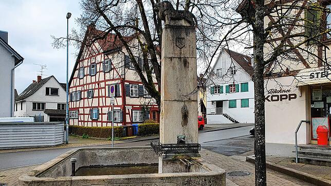 Der Brunnen im Zentrum von Wollmatingen, rechts die Bäckerei Knopp, die es an dieser Stelle nicht mehr lange gibt. Denn das Gebäude wird ...