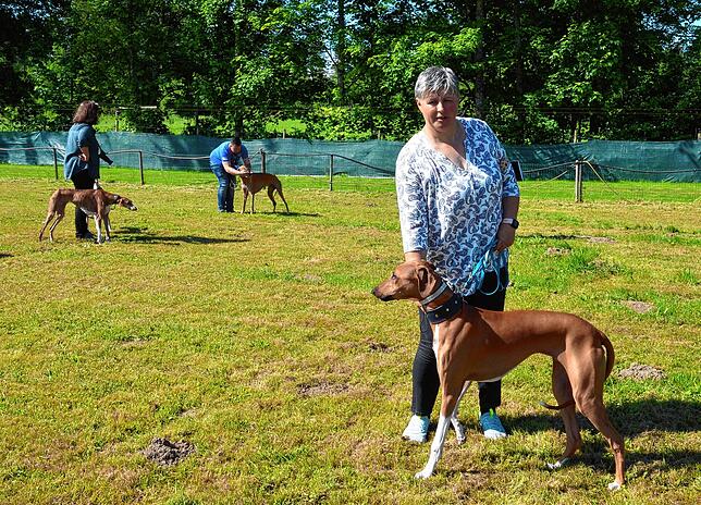 Carmen Willers Hund Mojo muss noch lernen, bevor er in die Wertung darf.