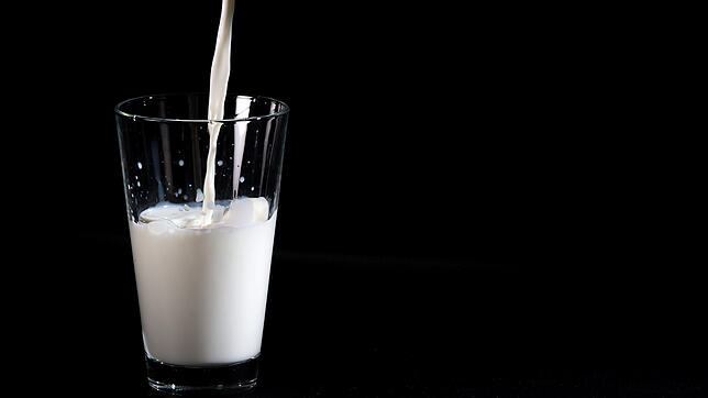 Kuhmilch hat allgemein einen eher guten Ruf – doch sie scheint auch negative Seiten zu haben.