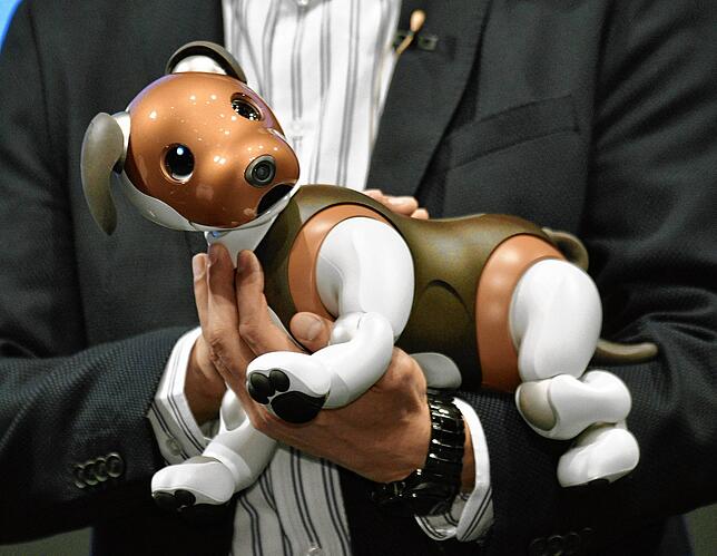 Der Roboterhund Aibo erkennt mithilfe 50 Sensoren, wo er berührt wird.