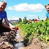 Die beiden Landwirte Hubert und Jonas Knoblauch mit Erdbeeren, die die Regenfälle überlebt haben. Zwischen ihnen befindet sich ein ...