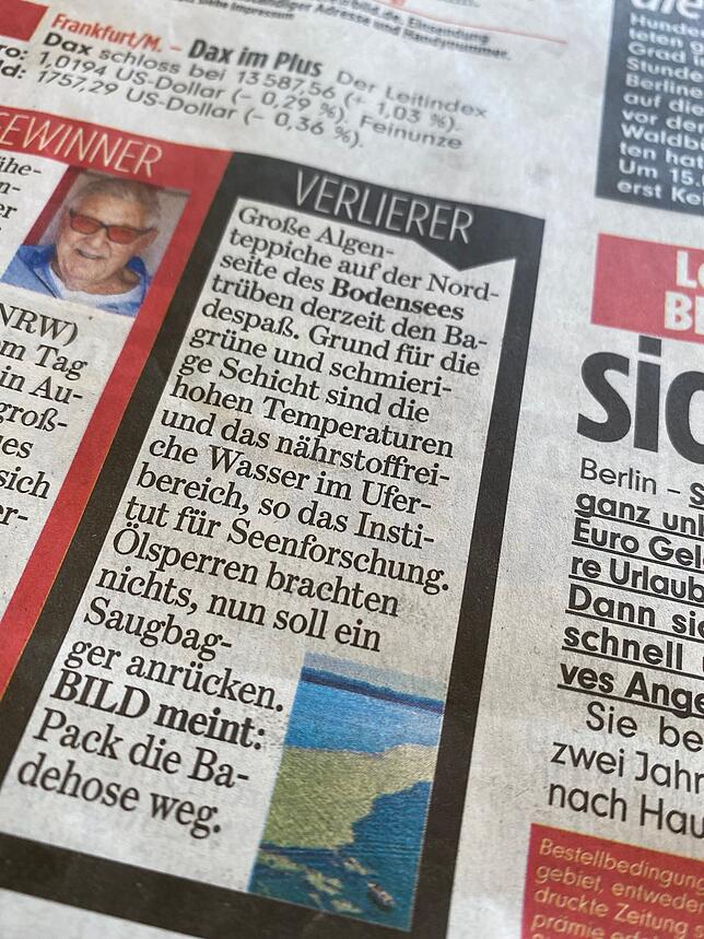 Bild 2: "Bild" macht Bodensee wegen Algen schlecht