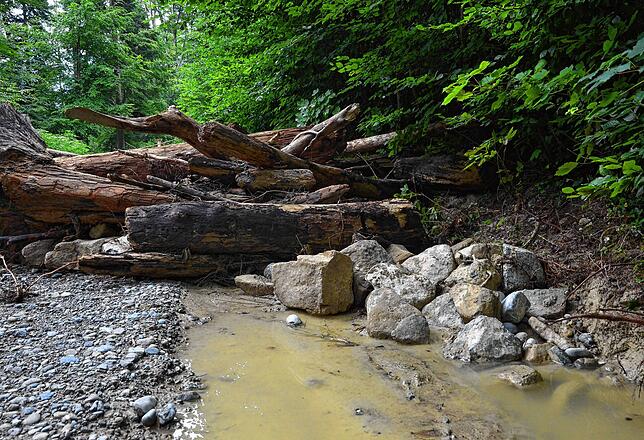 Hier war vor dem Unwetter ein Wanderweg.