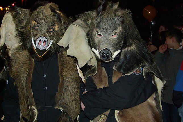 Bild 23: Bilder vom Klettgaunarrentreffen der Narrenzunft Bohnenviertel in Hohentengen a.H. am Samstag, 8. Februar
