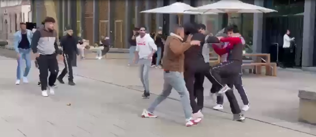 Videoaufnahmen von Passanten zeigen die Massenschlägerei vor dem Singener Einkaufszentrum Cano.