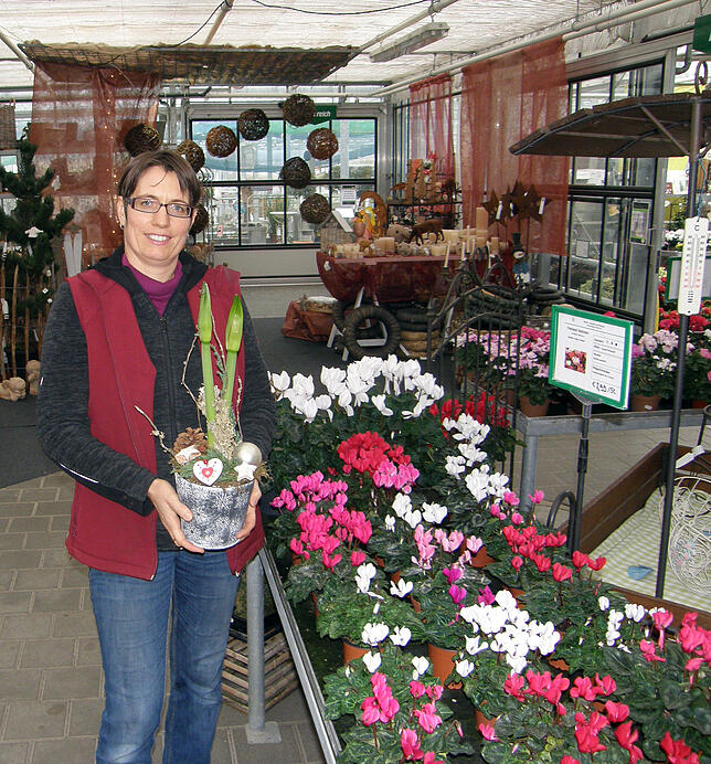 Silvia Zeiler hält hier eine Amaryllis in der Hand, rechts sind Alpenveilchen zu sehen.