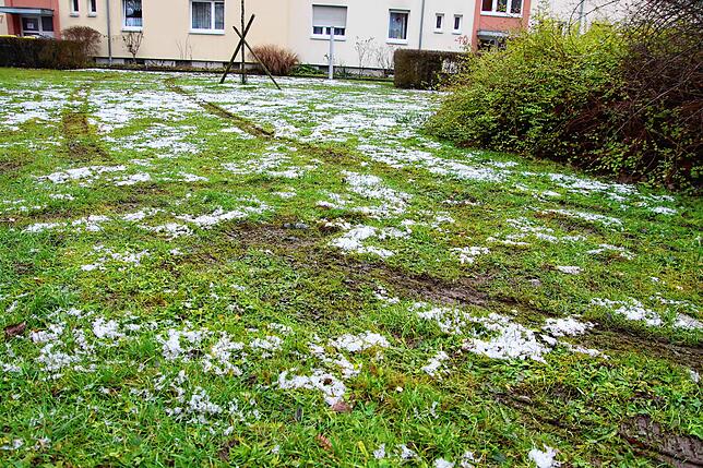 Auf der Wiese sieht man noch deutlich die Reifenspuren des Polizeiautos.