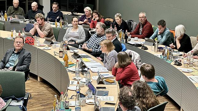 Gedrückte Stimmung im Gemeinderat, während Dagmar Hoehne von den Freien Wählern Stellung zur geplanten Erhöhung der Kitagebühren nimmt.