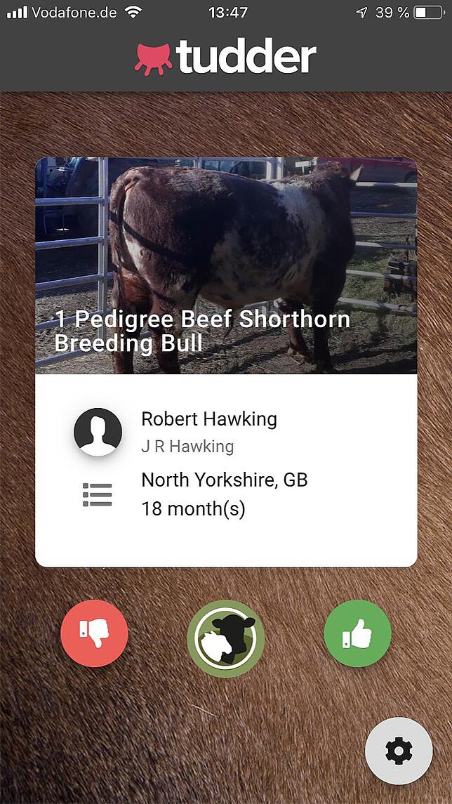 Auf einen Blick sehen Landwirte in der Handy-App Tudder alle Informationen der zu der verkuppelnden Kuh.
