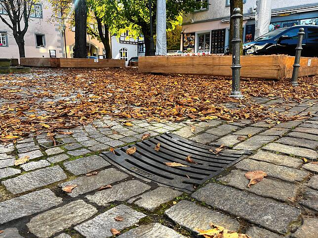 Die Einläufe würden von der Stadt nicht regelmäßig genug gereinigt, meint Heide Meißner. Dadurch verstopften sie.