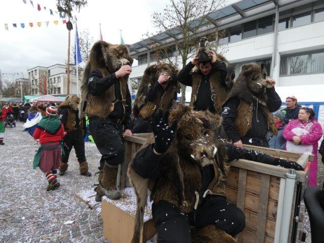 Bild 16: Teil 2: Bildergalerie zum Albbrucker Narrentreffen am 2. und 3. Februar 2019