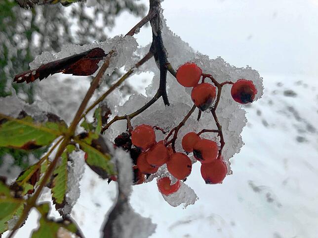 Bild 4: Bilder vom ersten Schnee auf dem Feldberg &ndash; neue Woche wird wechselhaft