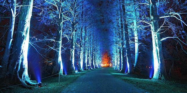 Bild 3: Lichter tanzen auf der Mainau: So haben Sie die Blumeninsel im Bodensee noch nie gesehen