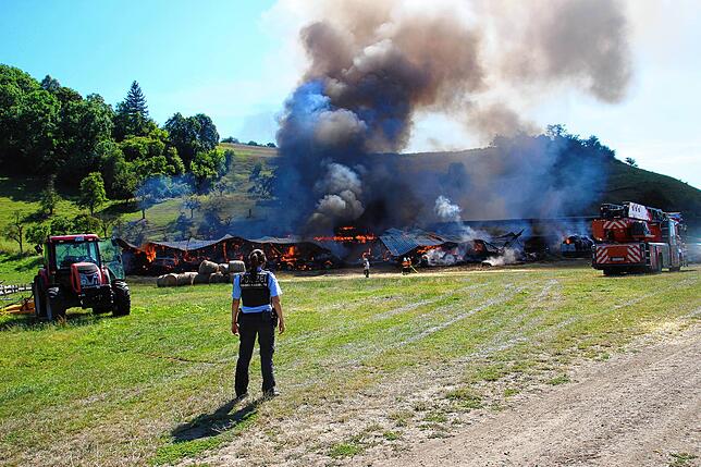 Flammen auf dem Hohentwiel: Bei einem verheerenden Feuer im Sommer 2019 wurden der alte Schafstall und das angrenzende Lagergebäude zum ...