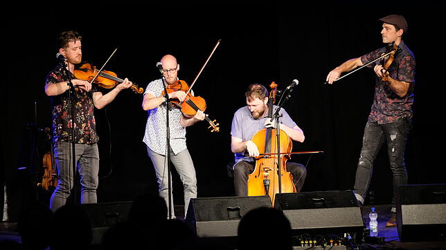 Ben Plotnick, Trent Freeman, Eric Wright und Karrnnel Sawitsky sind &bdquo;The Fretless&ldquo;.