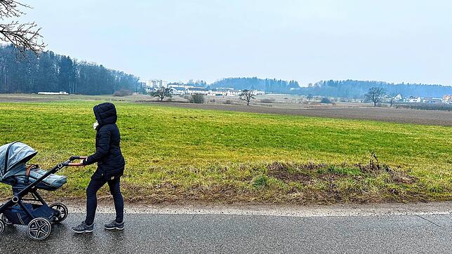 Auf dieser landwirtschaftlichen Fläche an der Windhager Straße wollte ein Investor einen Solarpark bauen. Der Gemeinderat ist dagegen.