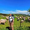Pfarrer Dietmar Heydenreich ist über 250 Kilometer durch den Landkreis gepilgert. Bei einer Vorbereitungstour hat er sich an der ...