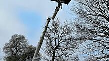 Am Rheinufer in Küssaberg werden Bäume gefällt und gepflegt, wie hier im Jahr 2022. Bild: Regierungspräsidium Freiburg