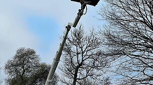 Am Rheinufer in Küssaberg werden Bäume gefällt und gepflegt, wie hier im Jahr 2022. Bild: Regierungspräsidium Freiburg