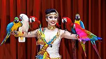Ein exotischer Farbtupfer: Laura und ihre Papageien. Sie ist Teil des Programms, mit dem der Zirkus Charles Knie zwischen Mittwoch, 14. ...