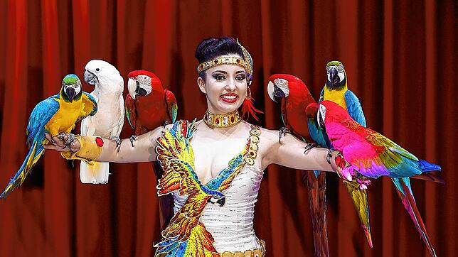 Ein exotischer Farbtupfer: Laura und ihre Papageien. Sie ist Teil des Programms, mit dem der Zirkus Charles Knie zwischen Mittwoch, 14. ...