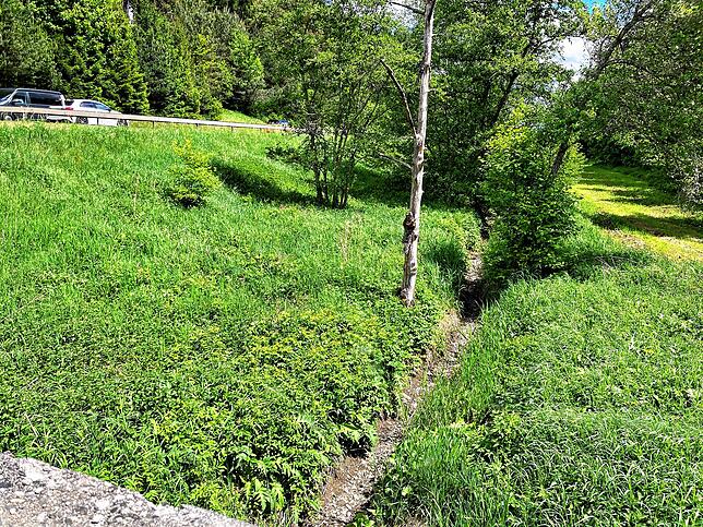 An der kleinen Brücke knapp einen Kilometer vor Marbach zeigt sich der Talbach Ende Mai völlig ausgetrocknet.