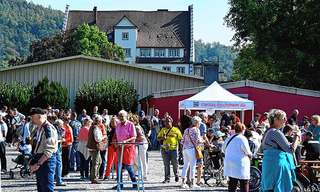 Bild 21: Die schönsten Momente des Hand-in-Hand-Laufs in Gurtweil