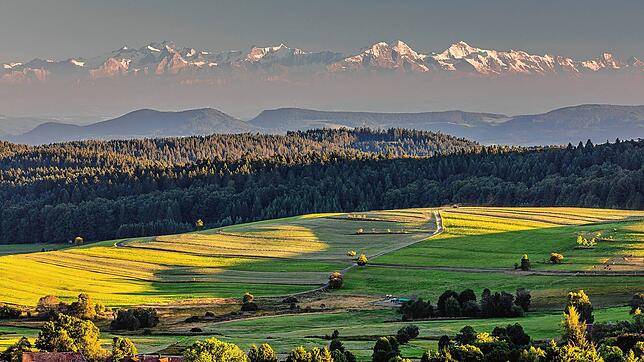 Die nach Süden geneigten Hochflächen des Hotzenwalds eröffnen einen herrlichen Blick über den Schweizer Jura bis hin zu den imposanten ...