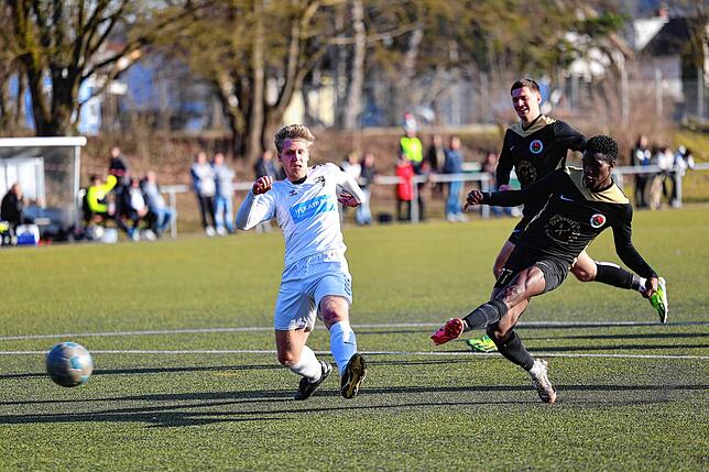 Bild 1: Unsere besten Bilder vom 2:1-Sieg des TSV Singen gegen den VfR Hausen