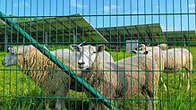Laut Kriterienkatalog für Photovoltaik-Freiflächen-Anlagen in der Gemeinde Sauldorf sollen PV-Projekte mit Zweitnutzung, wie etwa ...
