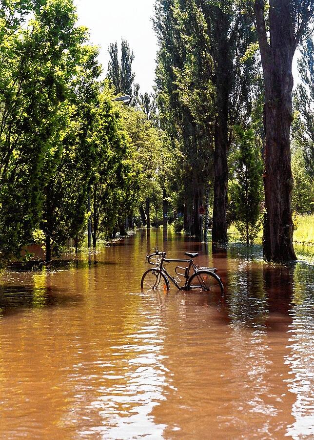 Bild 10: Archivfotos vom Hochwasser 1999: Reichenau vom Festland abgeschnitten
