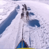 Aufnahme vom Hunderennen in San Bernadino 2015 im Schweizer Kanton Graubünden.