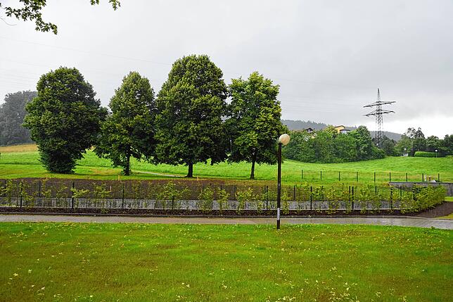 Auch die Nähe zur Natur spricht nach Ansicht des Trägervereins St. Vinzentius für den neuen Standort des St. Marienhauses im ...