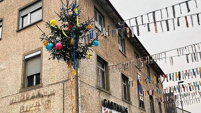 Der Allensbacher Alet hat beim Gründungslokal Alet schon mal einen Narrenbaum aufgestellt &ndash; heimlich still und leise.