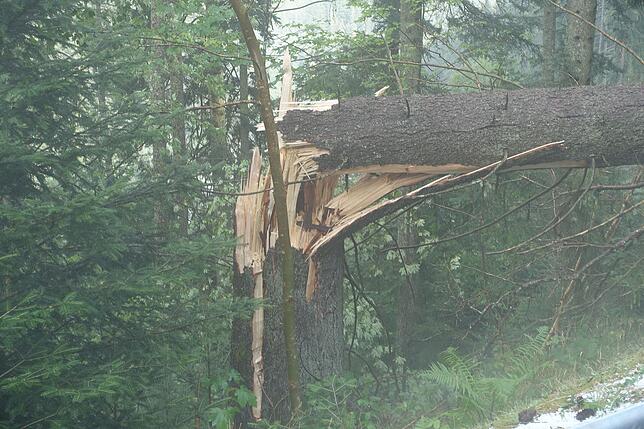 Bild 5: Die Folgen des Unwetters rund um Bonndorf am Freitag, 26. Juli 2019