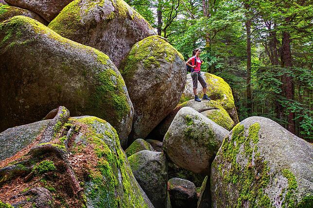 Beeindruckend: Die Günterfelsen, haushohe Granitfelsen nahe der Donauquelle.