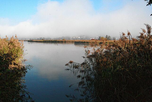 Auch bei Nebel ein schöner Anblick: Der Klingnauer Stausee vom westlichen Ufer aus gesehen. im Hintergrund Klingnau.